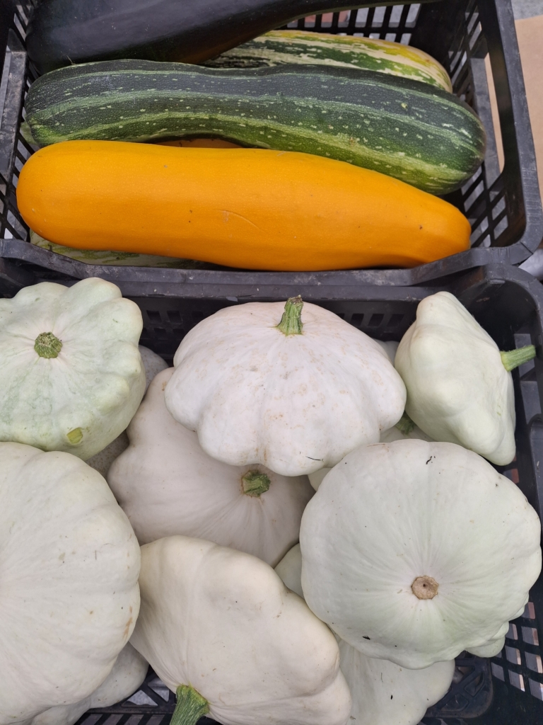 Beskydský farmářský trh 12.9.2024