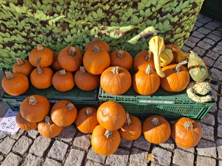 Beskydský farmářský trh 10.10. 2024