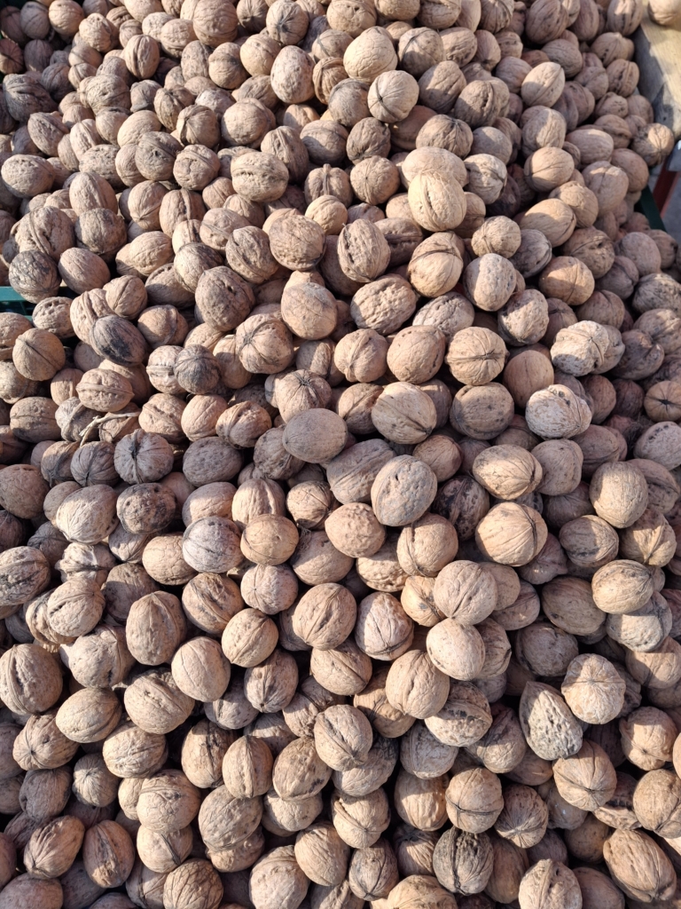 Beskydský farmářský trh 7.11.