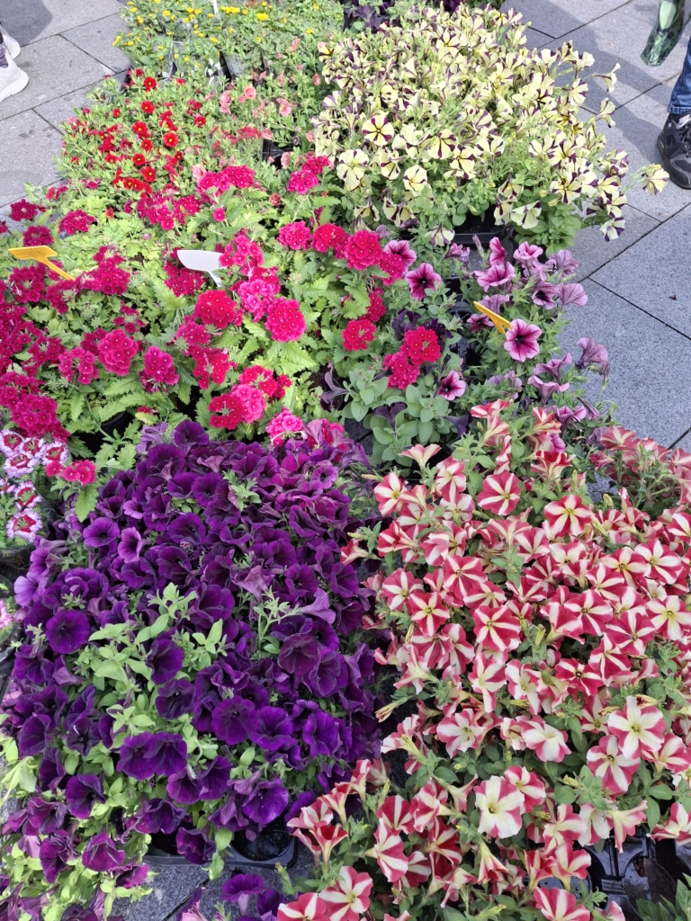 Beskydský farmářský trh 24.4.