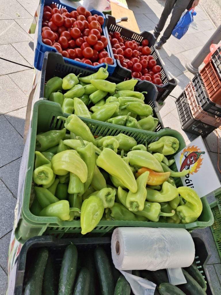 Beskydský farmářský trh 5.6.